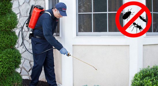 Kadıköy Kene İlaçlama böcek ilaçlama ve haşere kontrolü — ilaclama-tr.com
